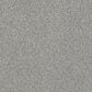 Shaw Tonal Comfort Ii Carpet in Cool Breeze, , large