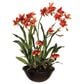 Allstate Floral 28" Oncid/Lady"s Slipper Plant in Rust Green, , large