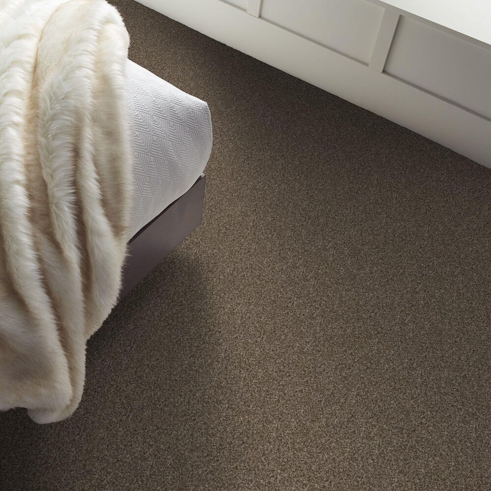 Shaw Yes You Can II Carpet in Mission Ridge, , large