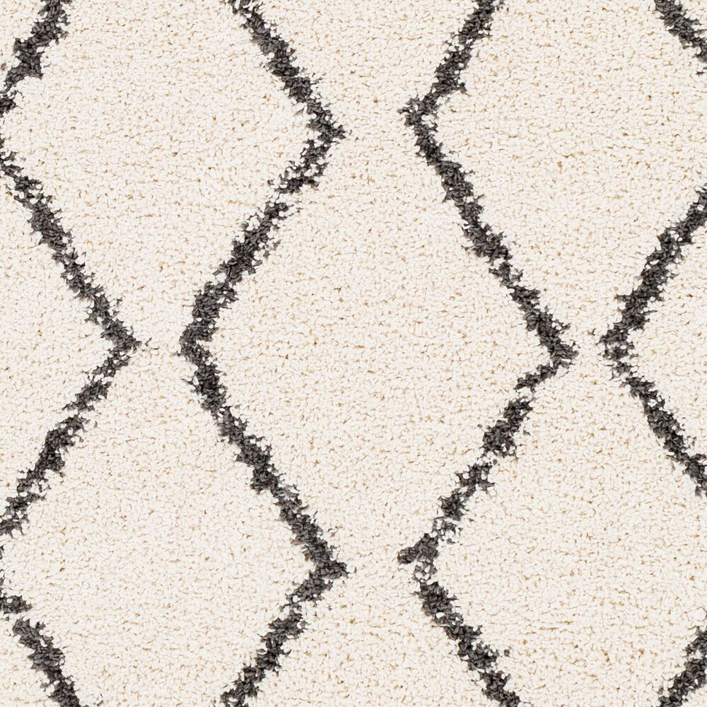Surya Berber Shag BBE2303 5&#39;3&quot; x 7&#39;3&quot; Charcoal and Light Beige Area Rug, , large