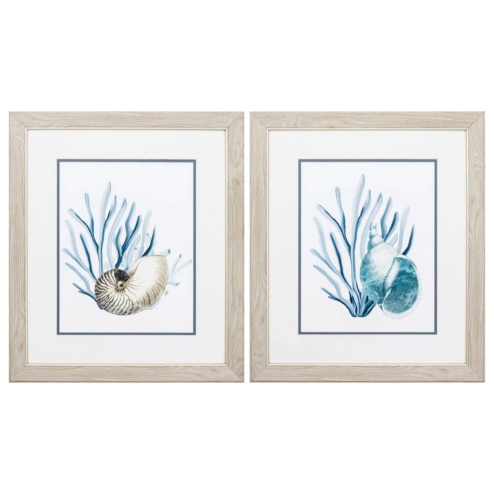 Propac "Shells & Seaweeds" Wall Art in Blue (Set of 2), , large