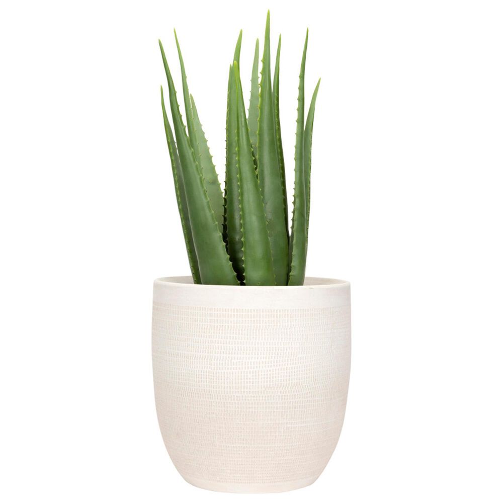 Creative Coop Coastal Embossed Textured Stoneware Planter in Matte White, , large