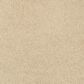Masland Miami Carpet in Bar Harbor, , large