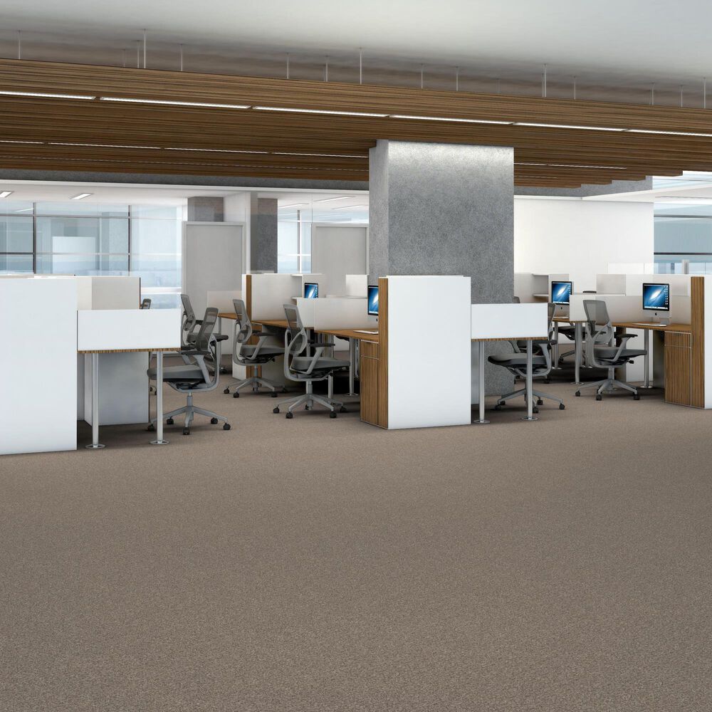 Shaw Yes You Can III Carpet in Natural, , large
