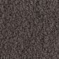 Anderson Tuftex Luxe Feel I Carpet in Armory, , large