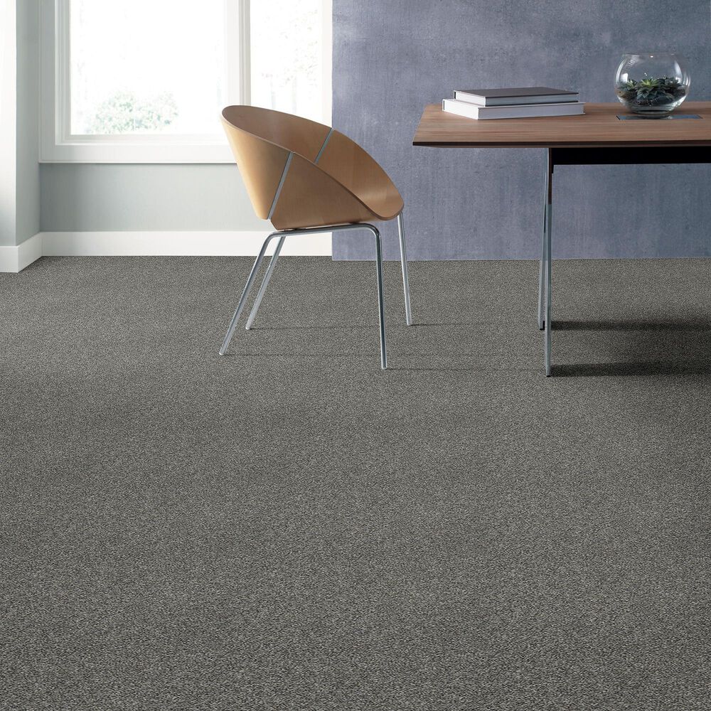 Shaw Simply the Best All Over It I Carpet in Sparrow, , large