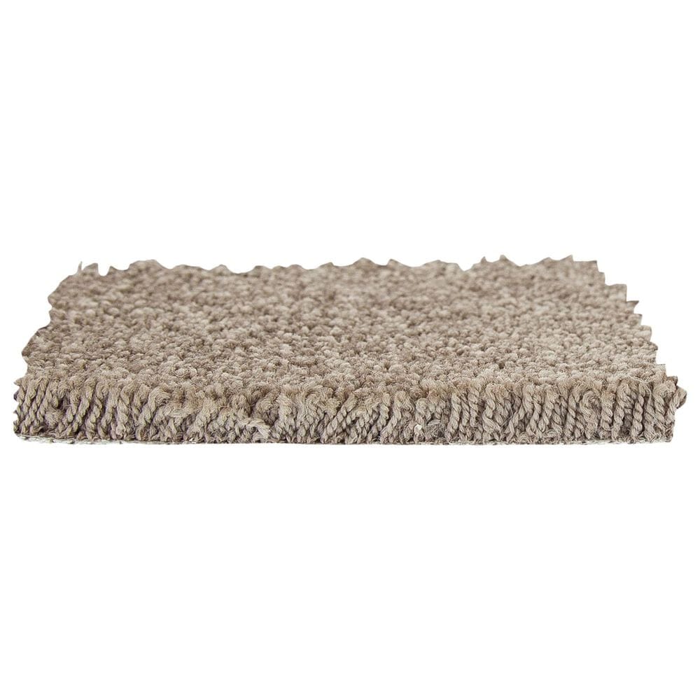 Mohawk Memorable View Carpet in Timerlane, , large