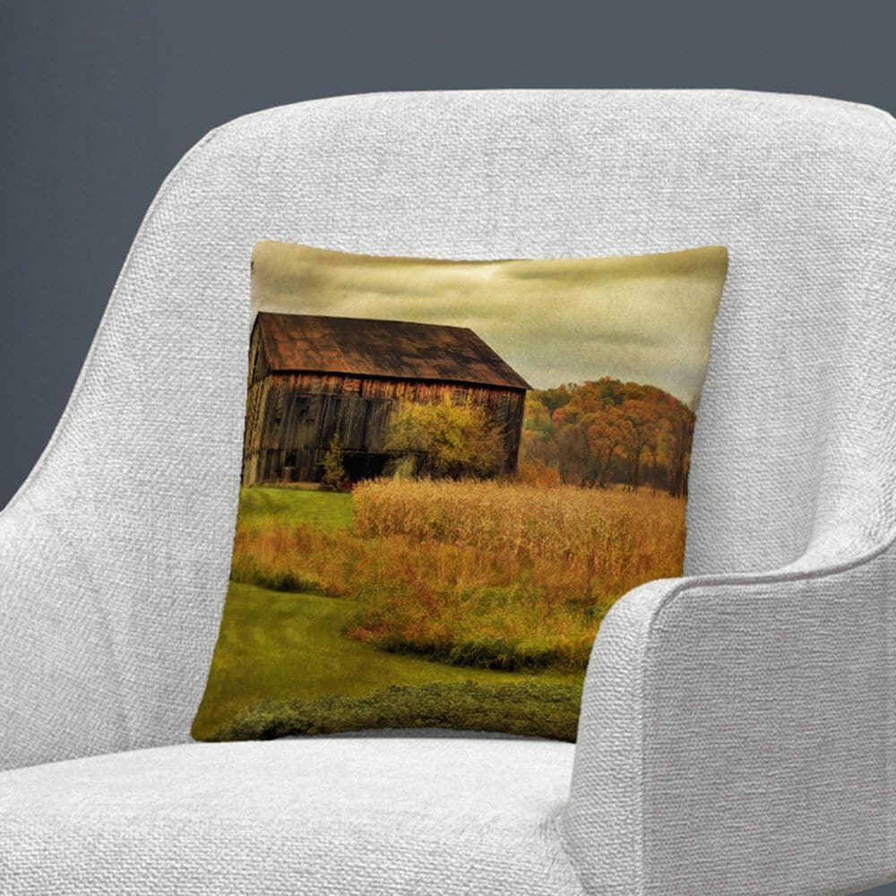 Timberlake Lois Bryan 'Old Barn on Rainy Day' 16 x 16 Decorative Throw Pillow, , large
