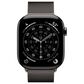 Apple Watch Series 11 (GPS+Cellular) 46mm Titanium Case with Milanese Loop - S/M in Slate and 2-Year AppleCare+, , large