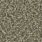 Phenix Radiant Gold Carpet in Enlighten, , large