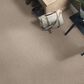 Shaw Bellera Secret Passage Carpet in Kidskin, , large