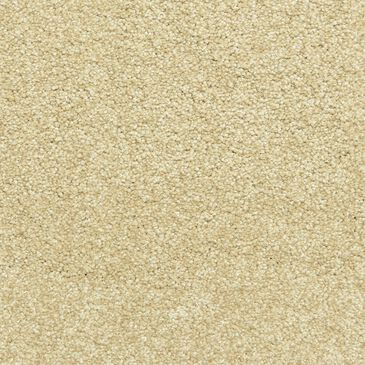 Dixie Home Simplicity Carpet in Camelite, , large