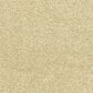 Dixie Home Simplicity Carpet in Camelite, , large