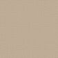 Shaw Cozy Embrace Carpet in Muslin, , large