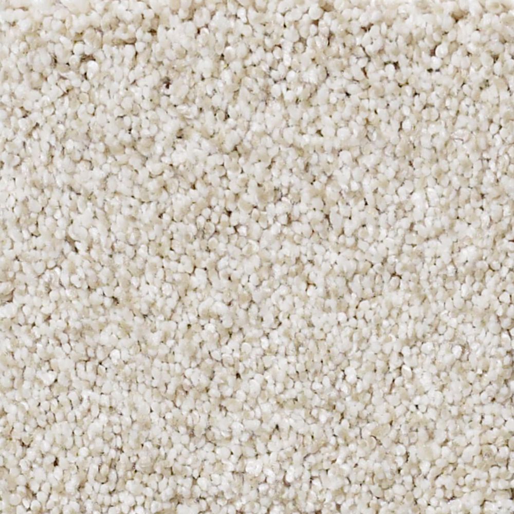 Shaw Foundations Take The Floor Tonal II Carpet in Cashmere, , large