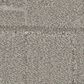 Anderson Tuftex Path Carpet in Vapor, , large