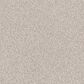 Shaw Grandiose Carpet in Gallery Opening, , large