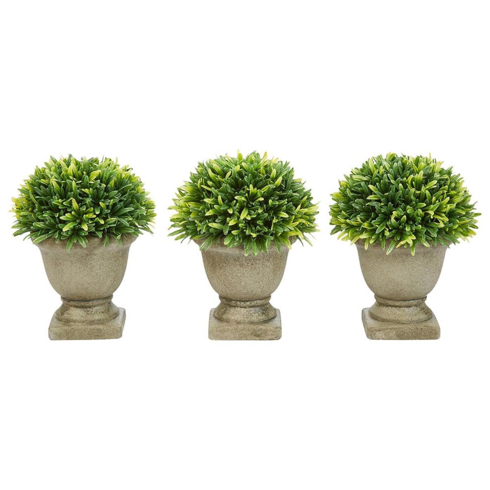 37B Pure Garden 7.5" Potted Podocarpus in Garden Green, , large