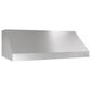 Zephyr Pro 48" Cypress Wall Mount Outdoor Range Hood in Stainless Steel, , large