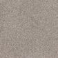 Dream Weaver Affinity IV Carpet in Mesa, , large