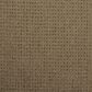 Dixie Home Galliard Carpet in Gateway, , large