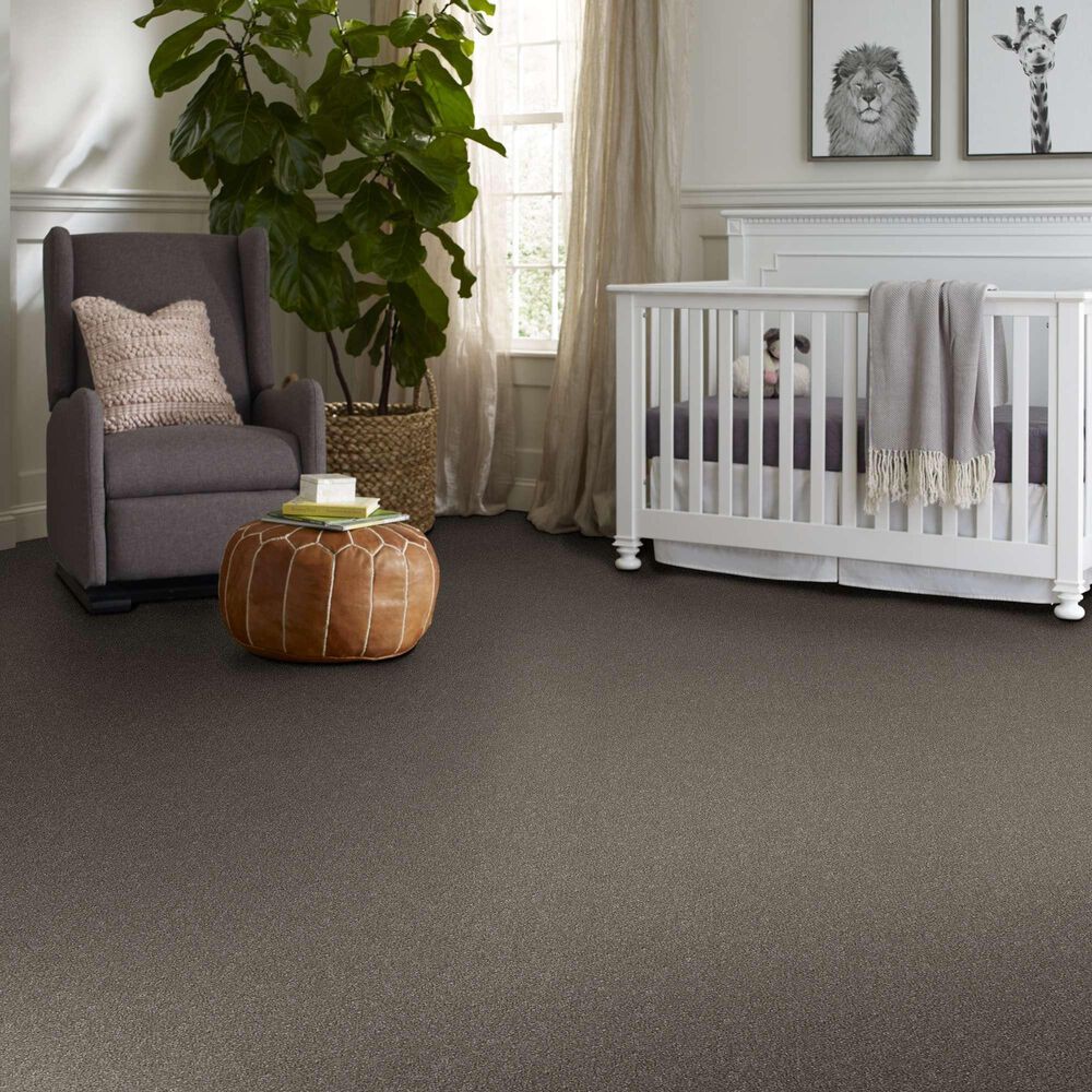 Shaw Without Limits II Carpet in Travatan, , large