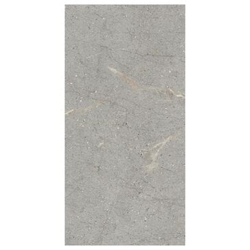 Emser Terramor Grigio 24" x 47" Porcelain Tile, , large