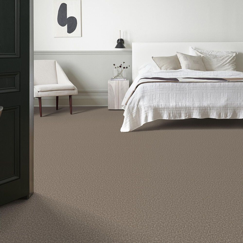 Anderson Tuftex Knickknack Carpet in Rocky Road, , large