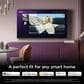 Roku 55" Class Pro Series Mini-LED QLED 4K in Black - Smart TV, , large