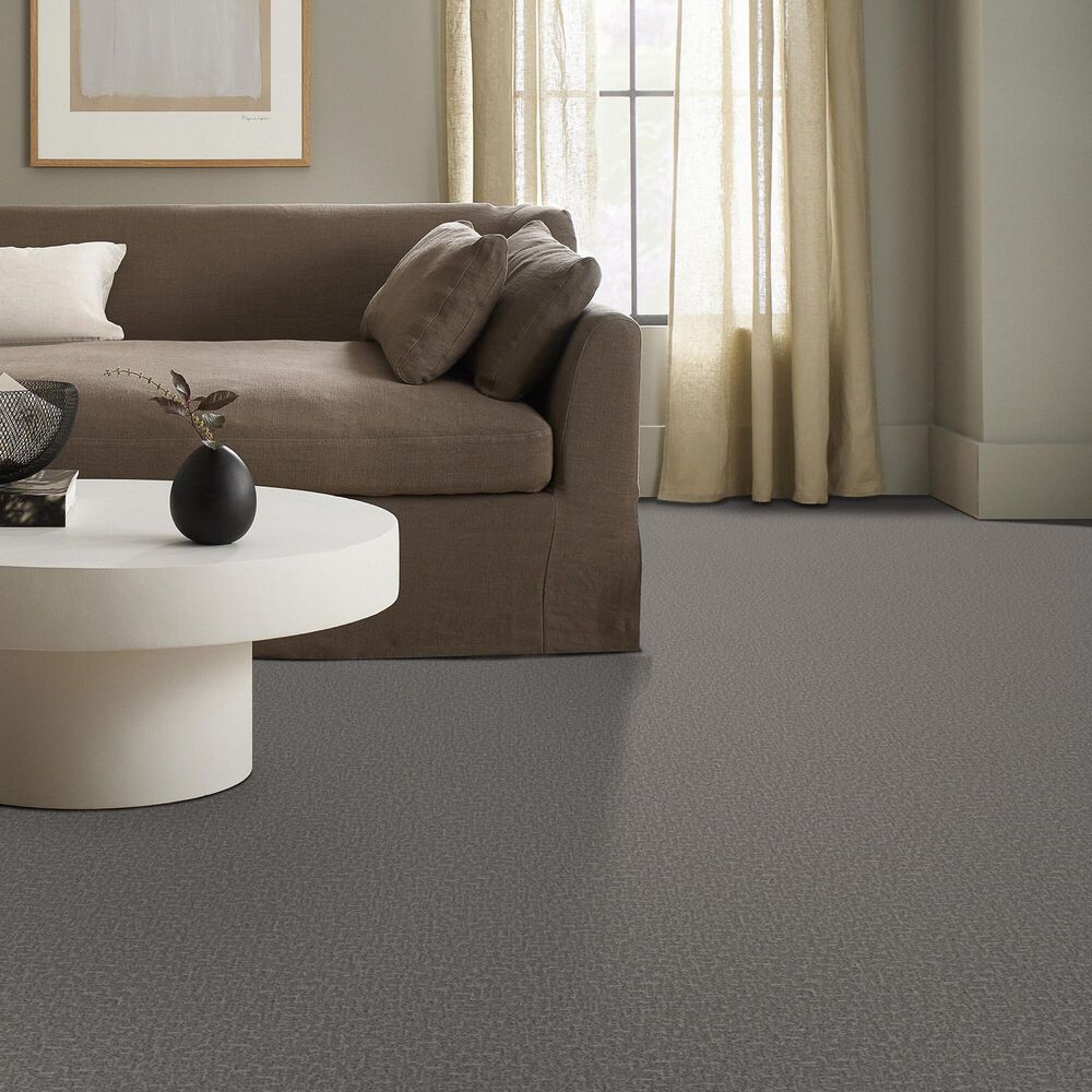 Anderson Tuftex Knickknack Carpet in Eclipse, , large