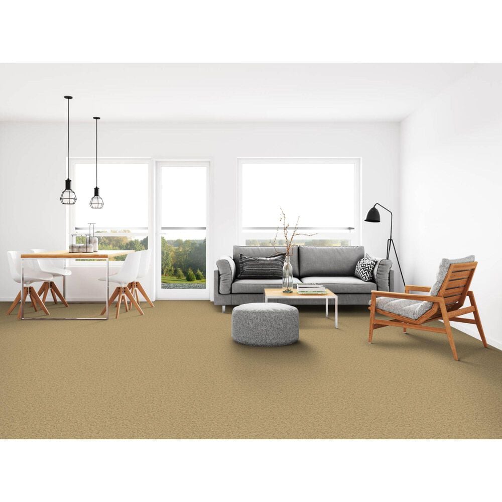 Dixie Home Simplicity Carpet in Pepper Spice, , large