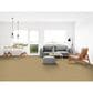 Dixie Home Simplicity Carpet in Pepper Spice, , large