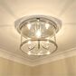 Golden Lighting Payton Flush Mount in Chrome, , large
