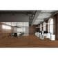 Fuzion Dynamix XL Rust 8" x 60" Luxury Vinyl Plank, , large