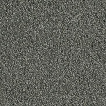 Phenix In The Details Carpet in Authentic, , large