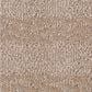 Anderson Tuftex Imagination Carpet in Destination, , large
