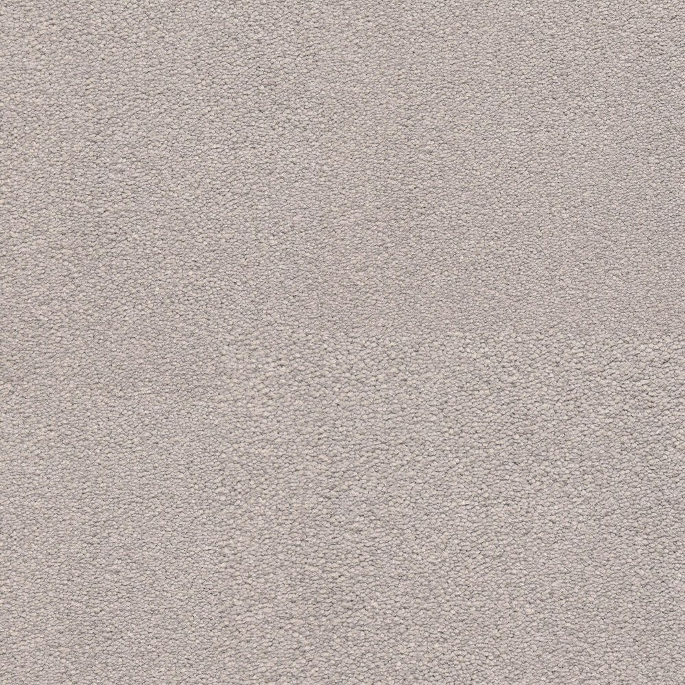 Dixie Home Neverland Carpet in Manor, , large