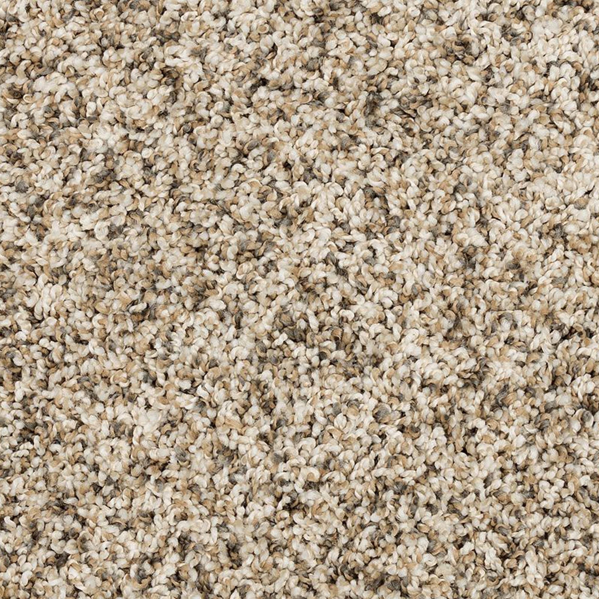 Mohawk Raise The Woof I Carpet in Frosty Spice