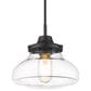 Golden Lighting Nash Small Pendant in Matte Black, , large