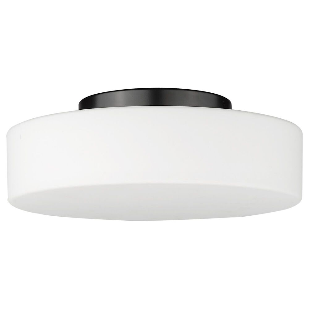 Golden Lighting Toli 1-Light Flush Mount in Matte Black, , large