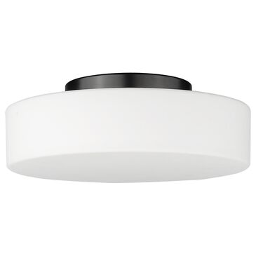 Golden Lighting Toli 1-Light Flush Mount in Matte Black, , large