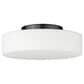 Golden Lighting Toli 1-Light Flush Mount in Matte Black, , large