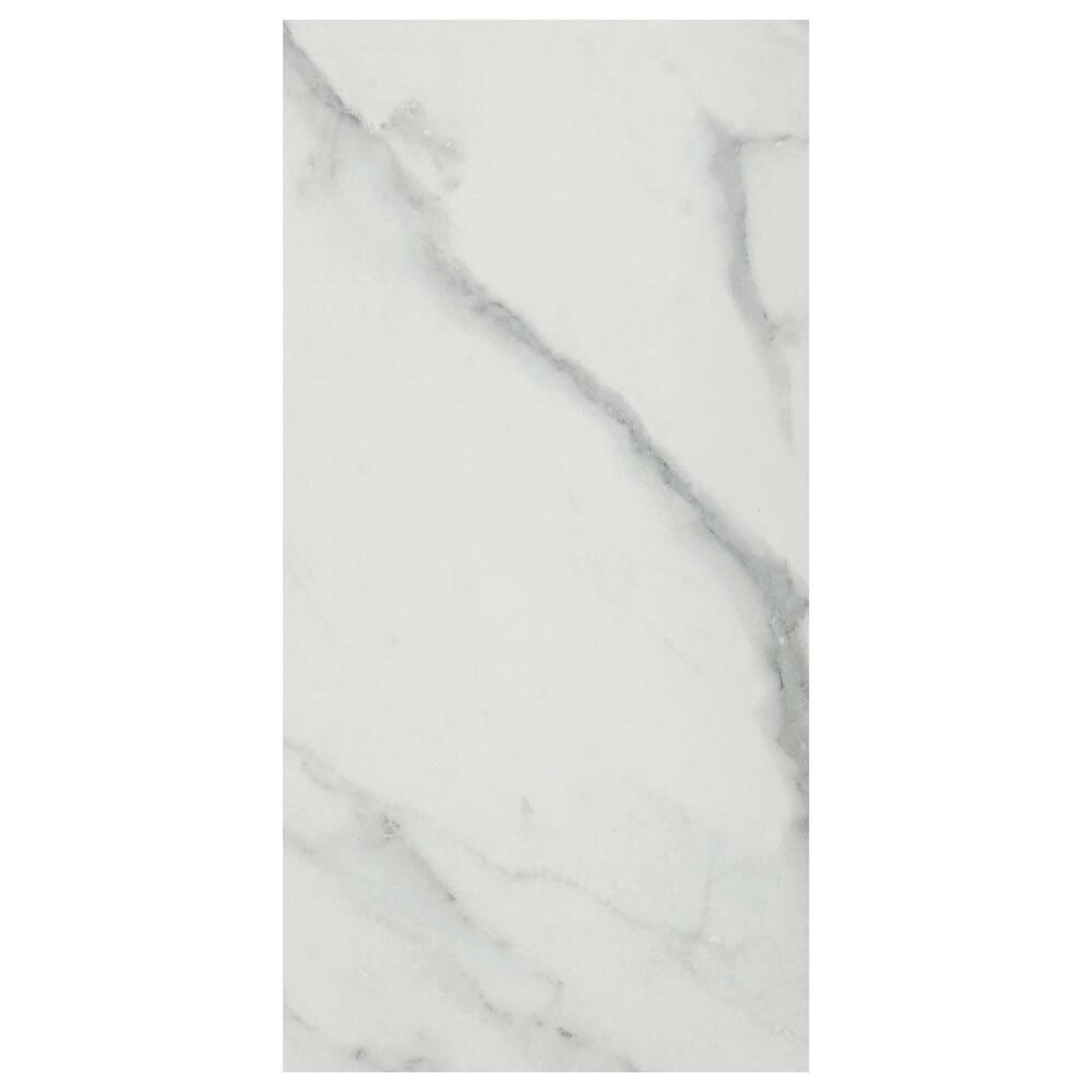 Emser Parkview White 12" x 24" Glossy Porcelain Tile, , large