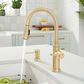 Blanco Empressa Pull-Down Faucet 1.5 GPM in Satin Gold, , large