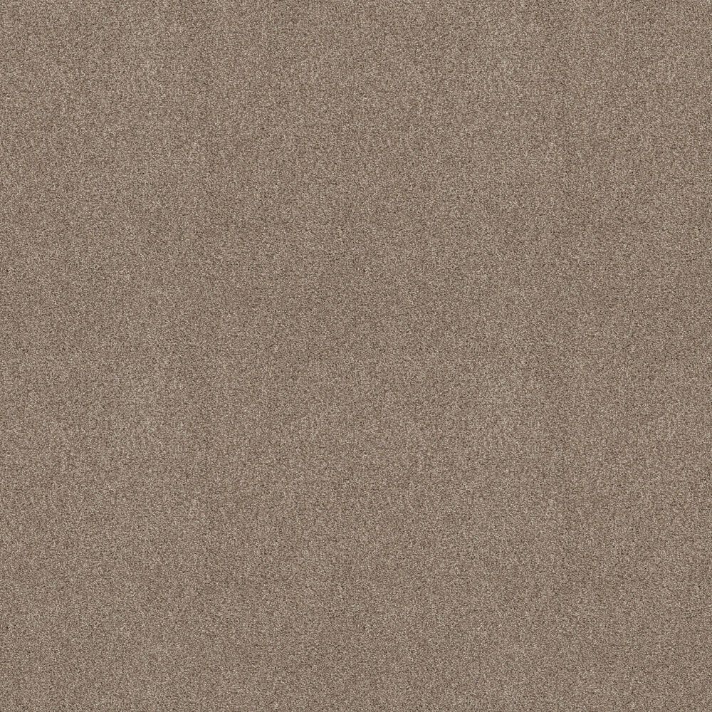 Shaw Comforting I Carpet in Boardwalk, , large