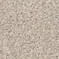 Shaw Live On Comfort Carpet in Bleached Oak, , large