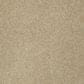Shaw Keen Senses I Carpet in Golden Rule, , large