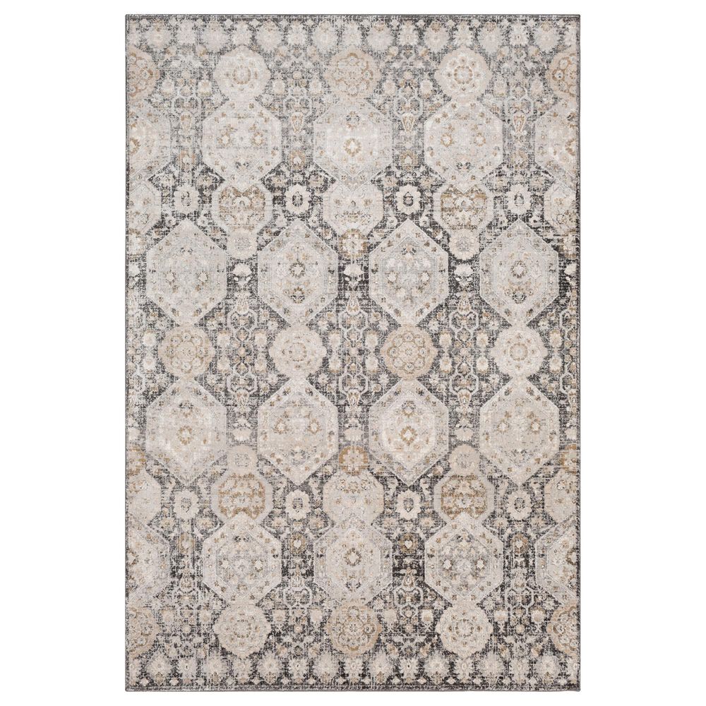 Surya Indigo IGO-2307 5"3" x 7"3" Black, Tan and White Area Rug, , large