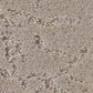 Anderson Tuftex Autograph Carpet in Glass Of Bubbly, , large