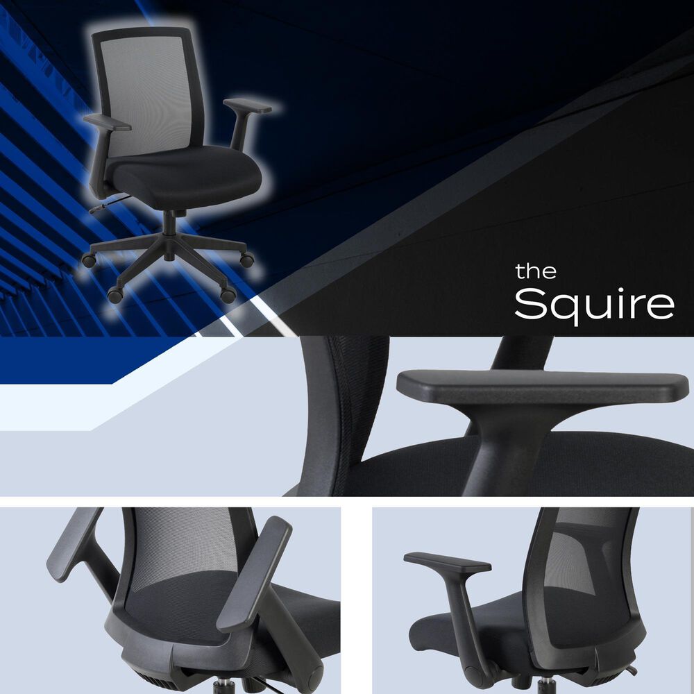 Regency Global Sourcing Squire Ergonomic Task Mesh Office Swivel Chair in Black, , large
